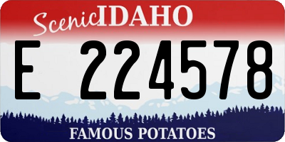 ID license plate E224578