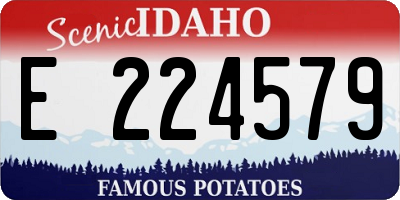 ID license plate E224579