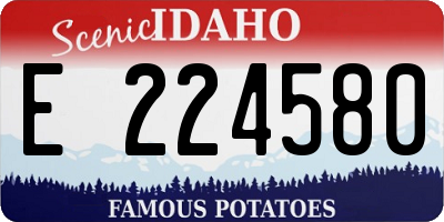 ID license plate E224580