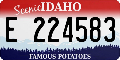 ID license plate E224583