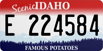 ID license plate E224584