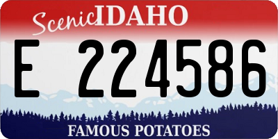 ID license plate E224586