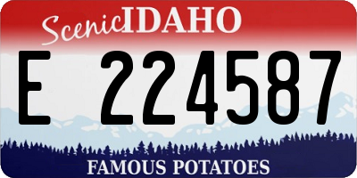 ID license plate E224587