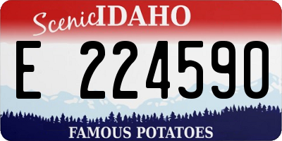 ID license plate E224590