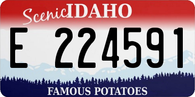 ID license plate E224591