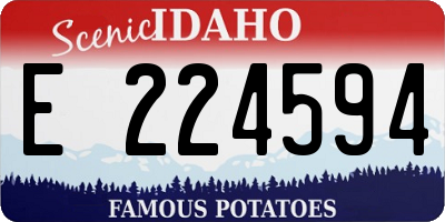 ID license plate E224594