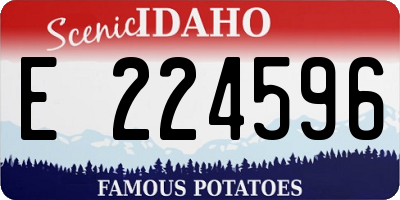 ID license plate E224596