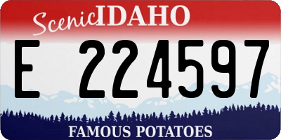 ID license plate E224597