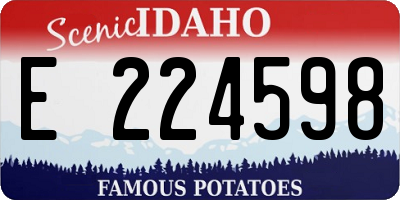 ID license plate E224598