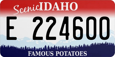 ID license plate E224600