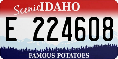 ID license plate E224608