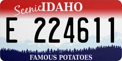 ID license plate E224611