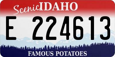 ID license plate E224613