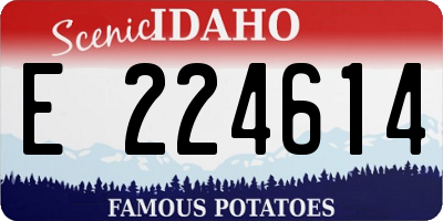 ID license plate E224614