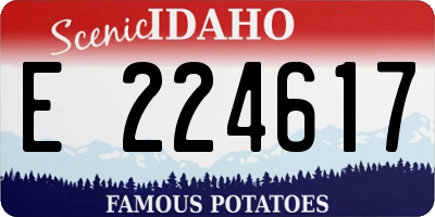 ID license plate E224617