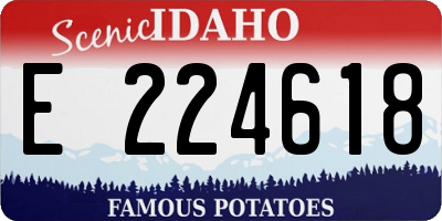 ID license plate E224618