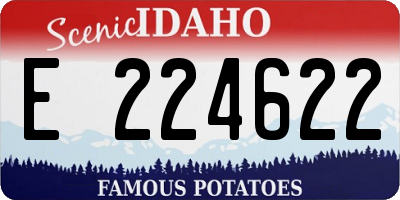 ID license plate E224622