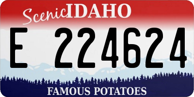 ID license plate E224624