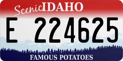 ID license plate E224625