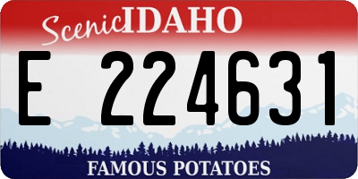 ID license plate E224631