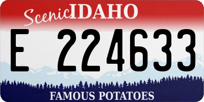 ID license plate E224633