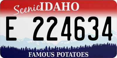ID license plate E224634