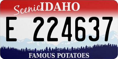 ID license plate E224637