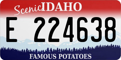 ID license plate E224638