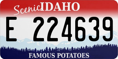 ID license plate E224639