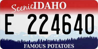ID license plate E224640