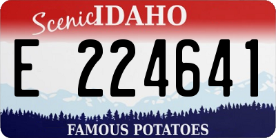 ID license plate E224641