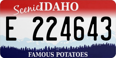 ID license plate E224643