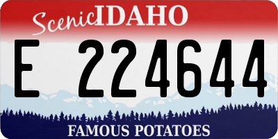 ID license plate E224644