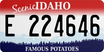 ID license plate E224646