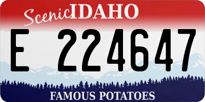 ID license plate E224647