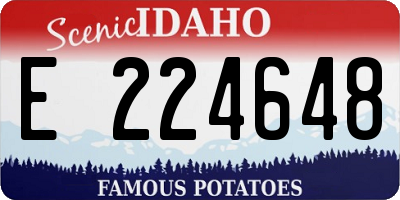 ID license plate E224648