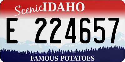 ID license plate E224657
