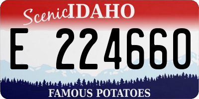 ID license plate E224660