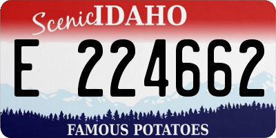ID license plate E224662
