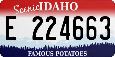 ID license plate E224663