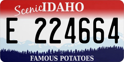 ID license plate E224664