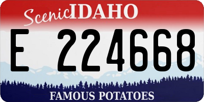 ID license plate E224668