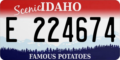 ID license plate E224674