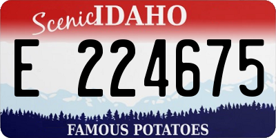ID license plate E224675