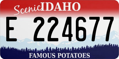 ID license plate E224677