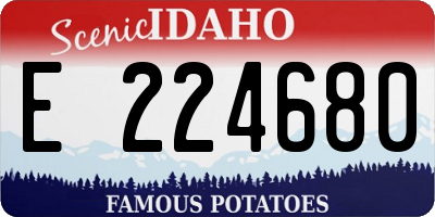 ID license plate E224680