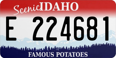 ID license plate E224681