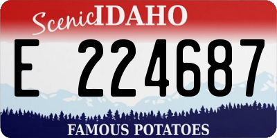 ID license plate E224687