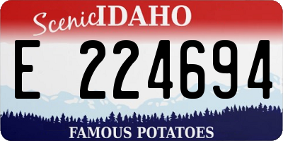 ID license plate E224694