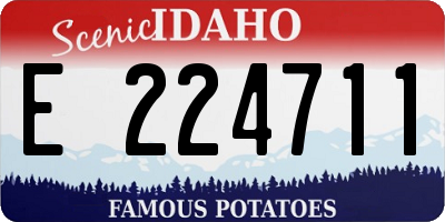 ID license plate E224711